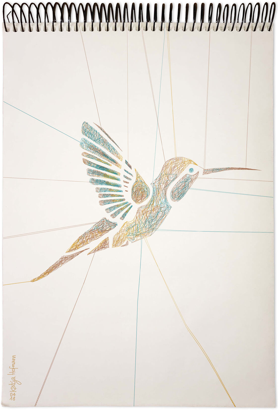 Katja Hofmann, Illustration bird1 mit Vektoren gezeichnet