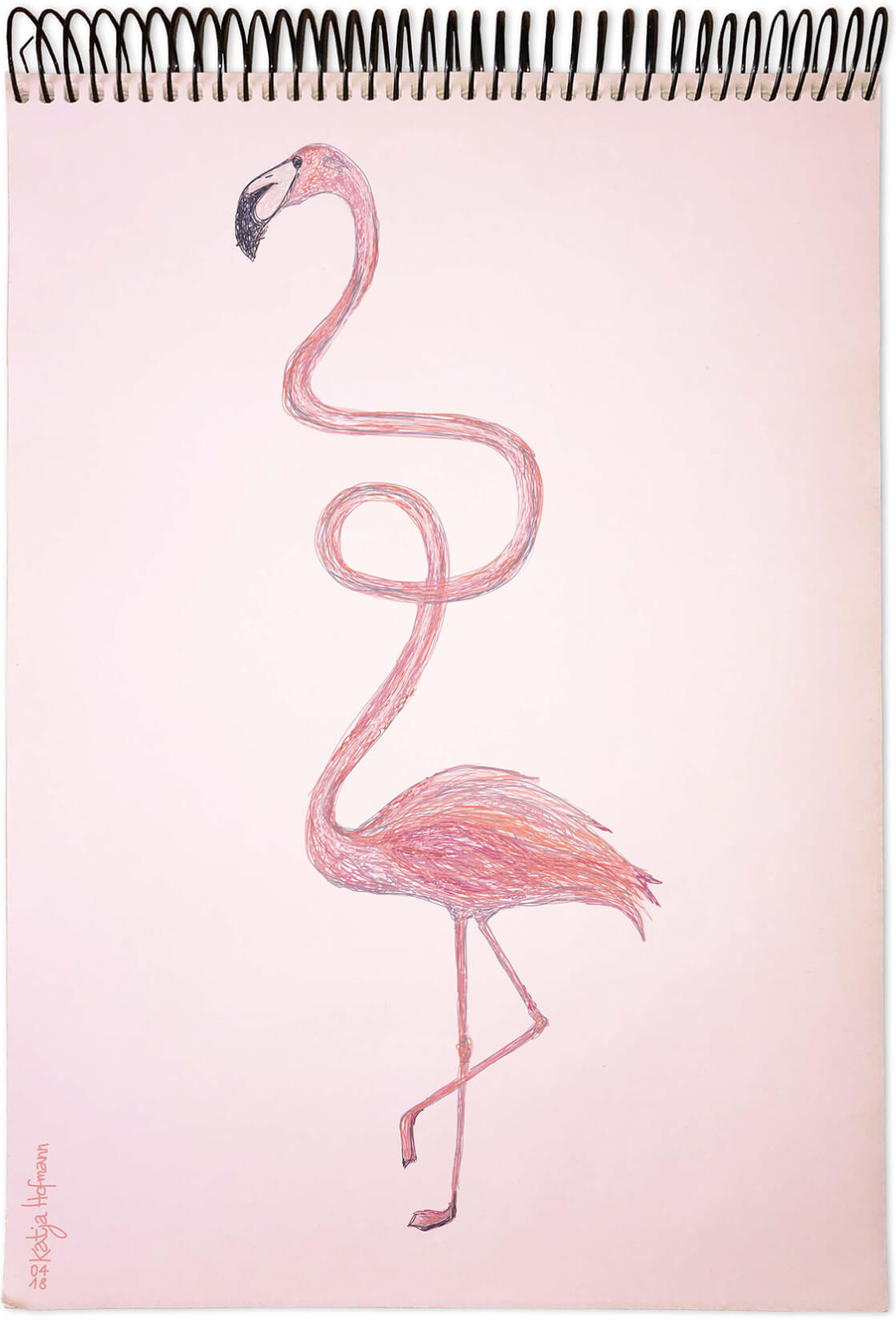 Katja Hofmann, Illustration bird2 mit Vektoren gezeichnet