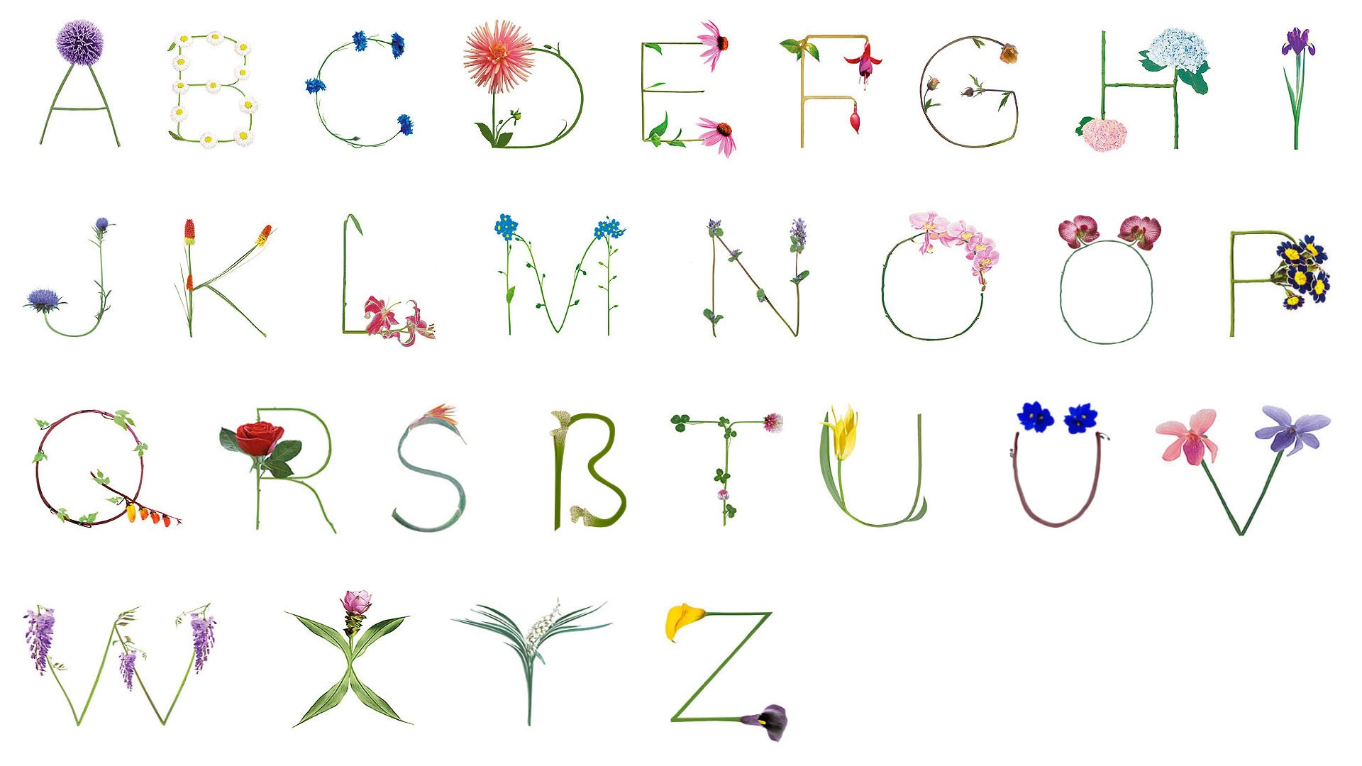 Katja Hofmann, Studio for good handmade Design, Blumenbuchstaben, Blumenschrift, Blumenalphabet, Print, Webdesign