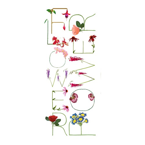 Flowerpower, Blumenalphabet vegan gedruckt auf Basics aus Bio-Baumwolle, Faibleshop.com, katja Hofmann, Studio for good handmade Design