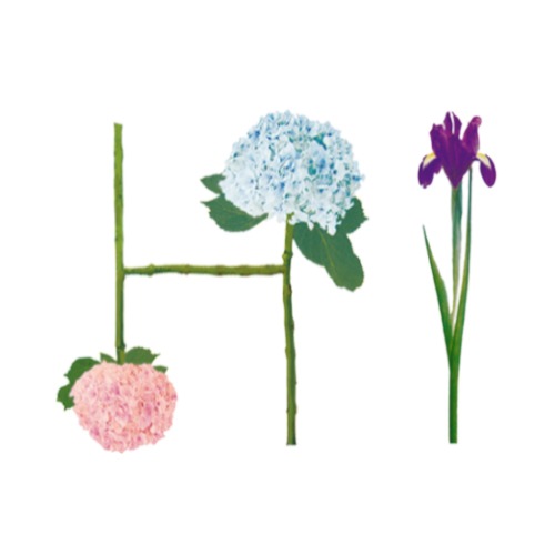 Hi, Blumenalphabet vegan gedruckt auf Basics aus Bio-Baumwolle, Faibleshop.com, katja Hofmann, Studio for good handmade Design