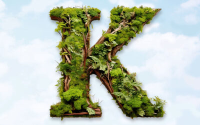 PRIVATER AUFTRAGGEBER